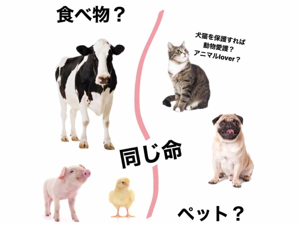 完全版 ヴィーガンのよくある質問まとめ23選 Sushivoyage