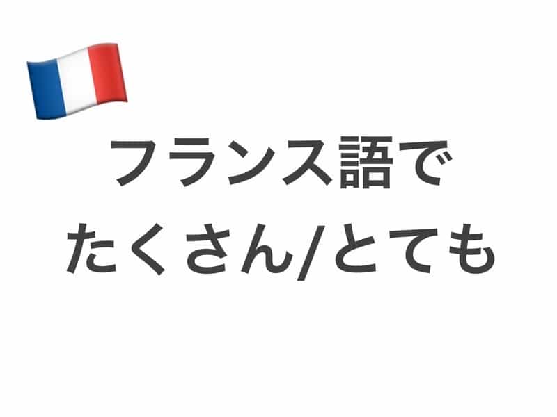 フランス語　beaucoup