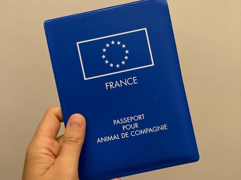 EUペットパスポート