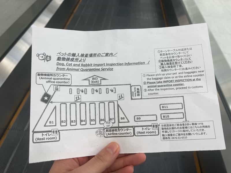 成田空港　犬