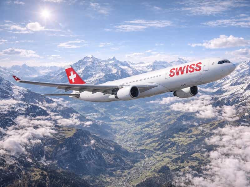 スイスエア　犬